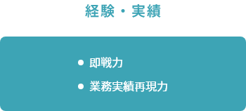 経験・実績